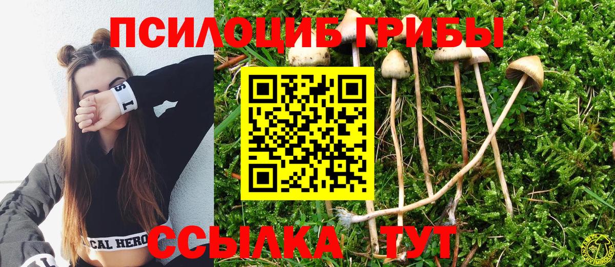как найти наркотики  Галлюциногенные грибы ЛСД  Вход с VPN  Псилоцибиновые грибы мухоморы  Каменка 